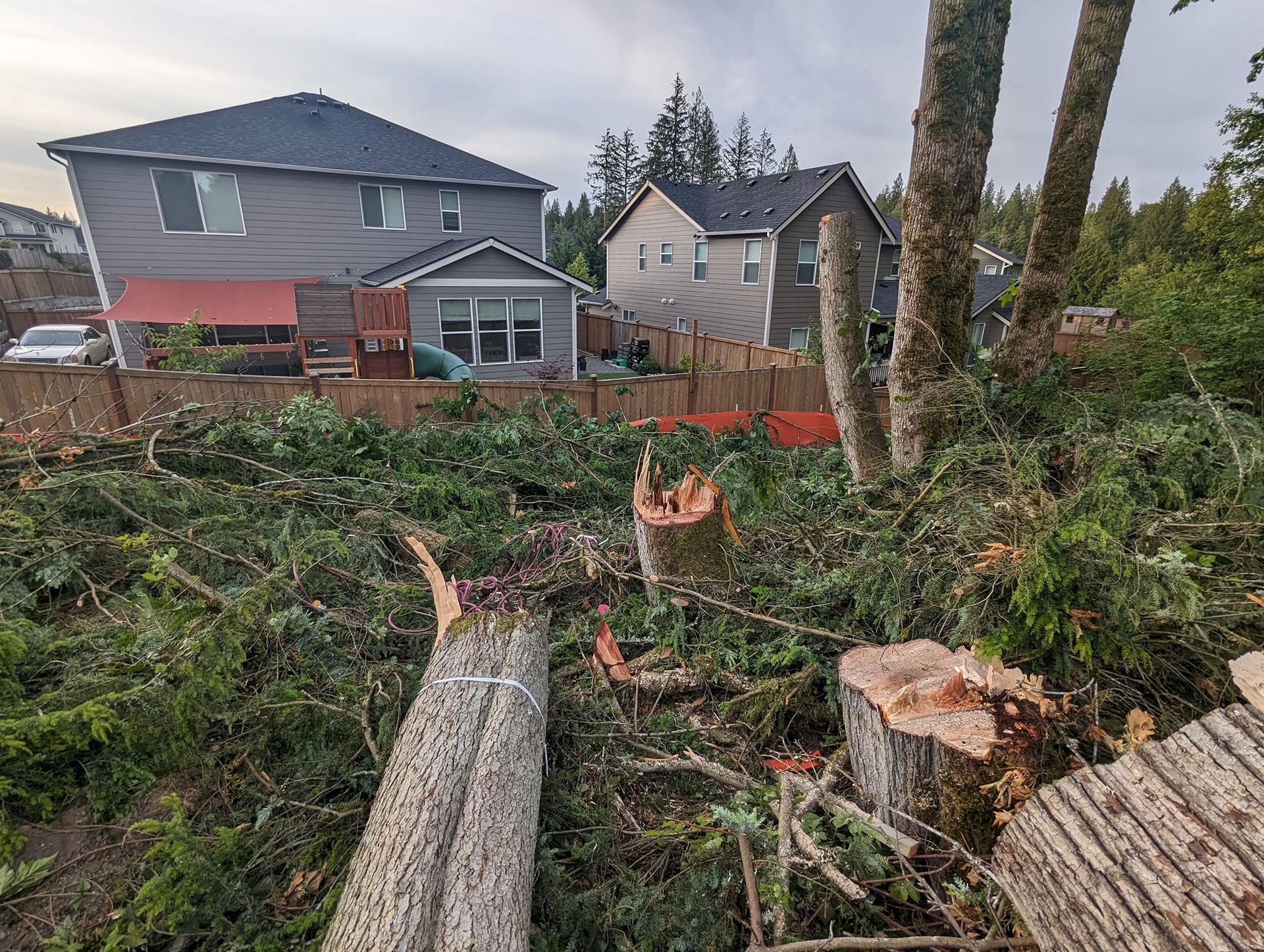 Cleared trees and debris in a yard with two houses in the background; grey sky.