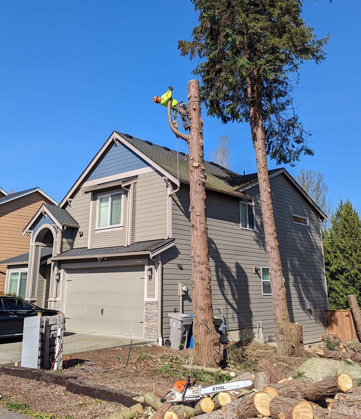 Two workers in safety gear are trimming tall trees near a two-story house with a blue sky.