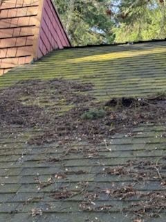 Roof covered in moss and debris, with a red gable in the background.