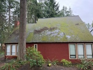 Red house with moss-covered roof, surrounded by trees and bushes.