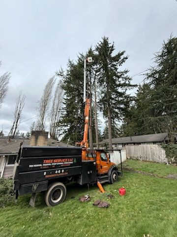 Tree service truck with orange crane trimming a tall tree in a yard.