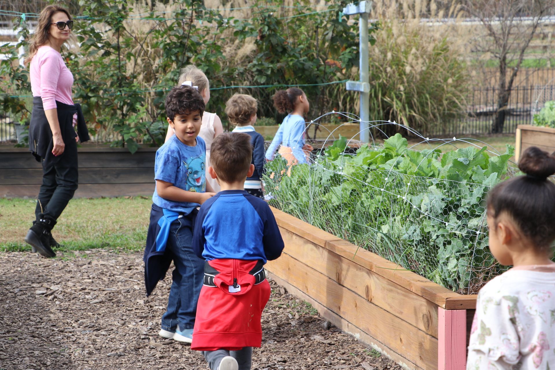 Montessori children are standing in a garden looking at plants.