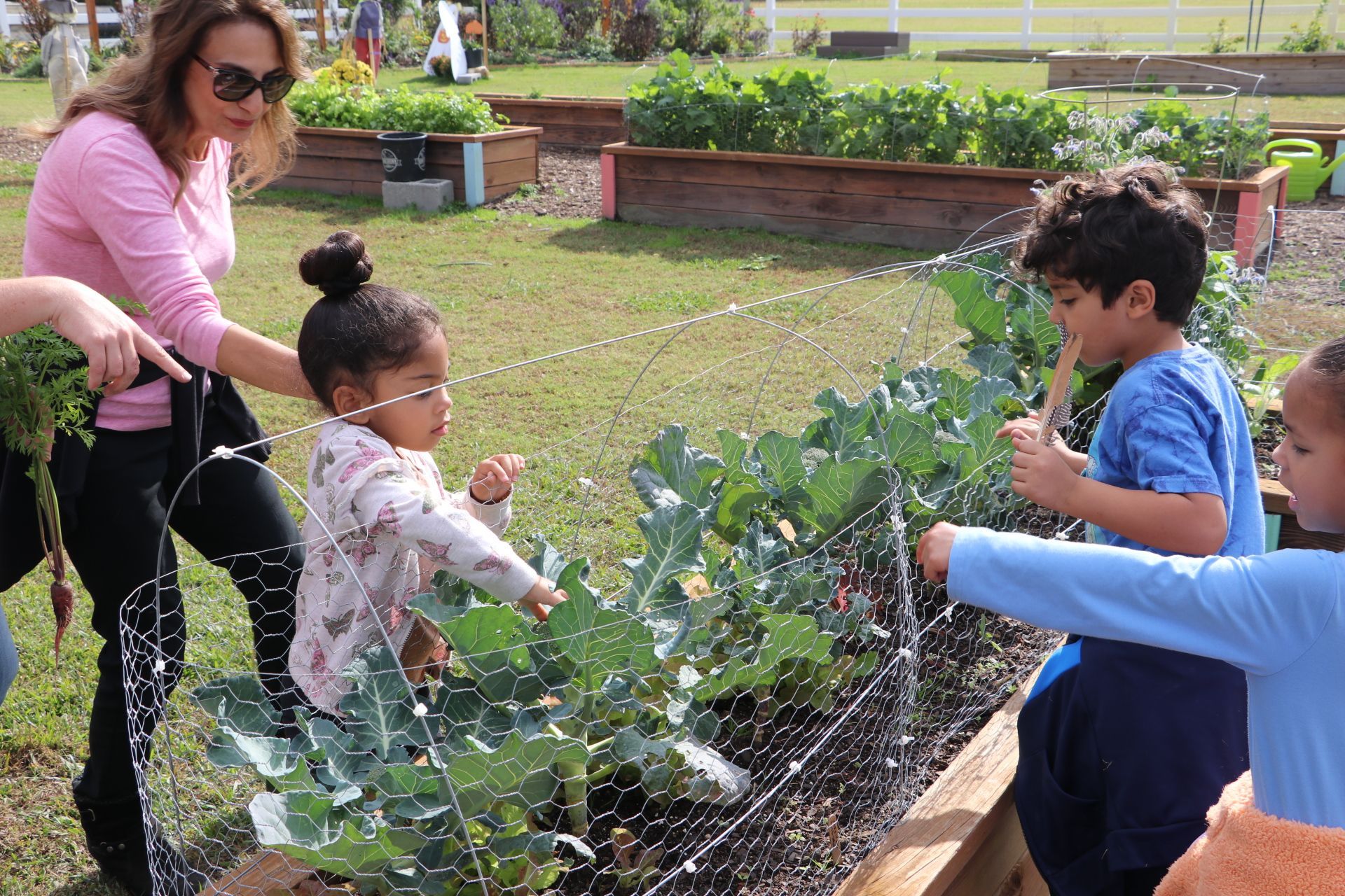 A Montessori guide and two children are exploring plants in a garden.