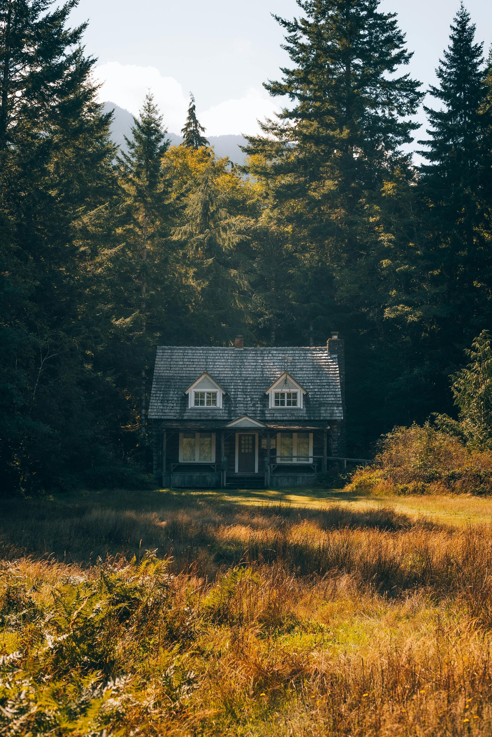 A small house in the middle of a field in the middle of a forest.