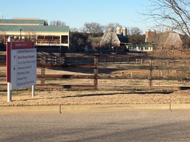 Directions to different areas of NC State University Campus