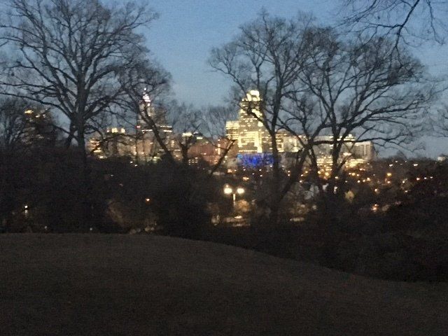 City Skyline of Raleigh