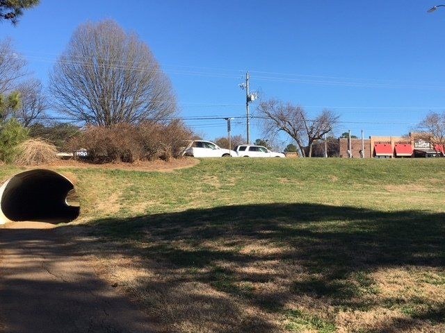 Cars Parked Along an Empty Lot