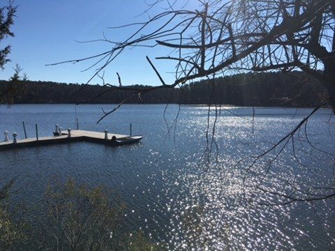 Lake with Dock