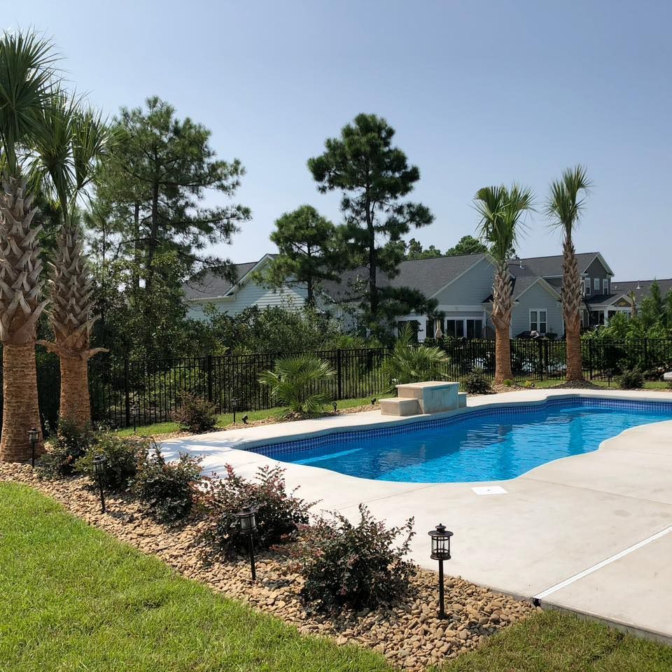 Swimming pool surrounded by concrete, landscaping, palm trees, and houses on a sunny day.