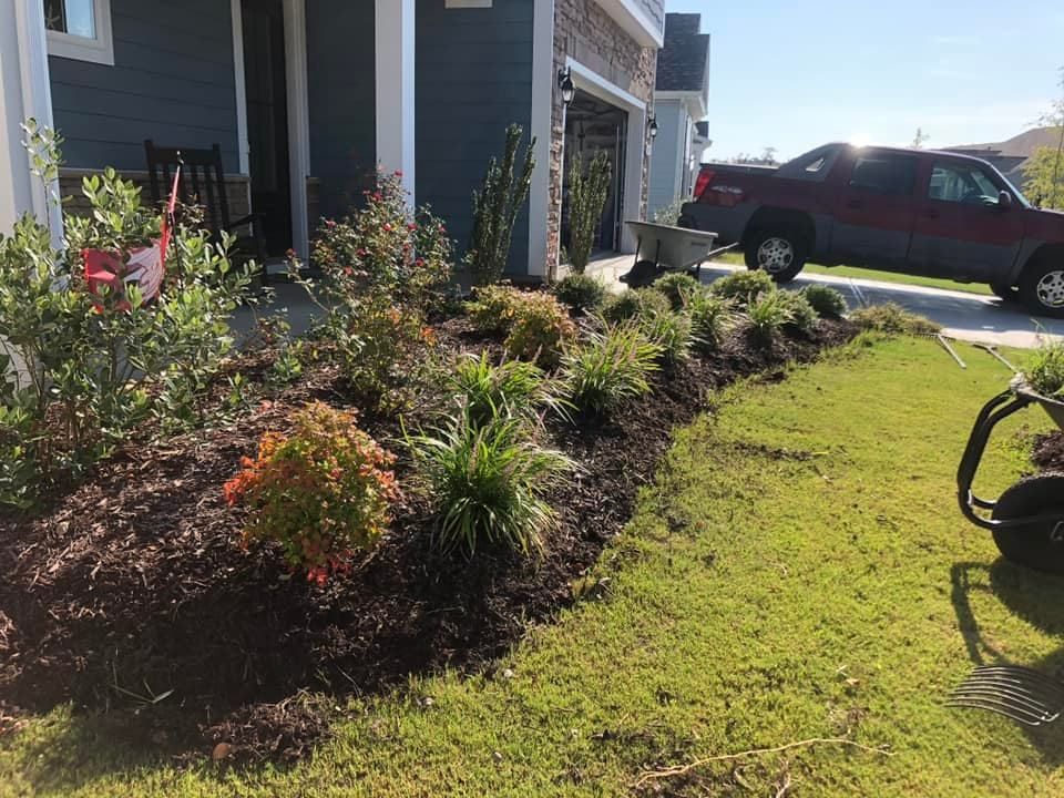Front yard landscaping with various plants and dark mulch, next to a grassy lawn and a blue house.