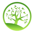 A green tree with leaves in a circle on a white background.