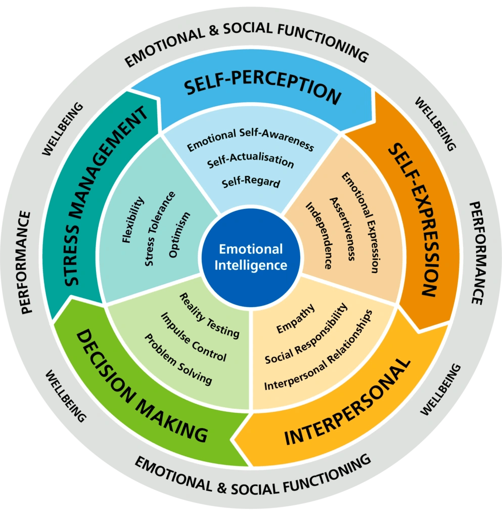 emotional intelligence talent development application assessment