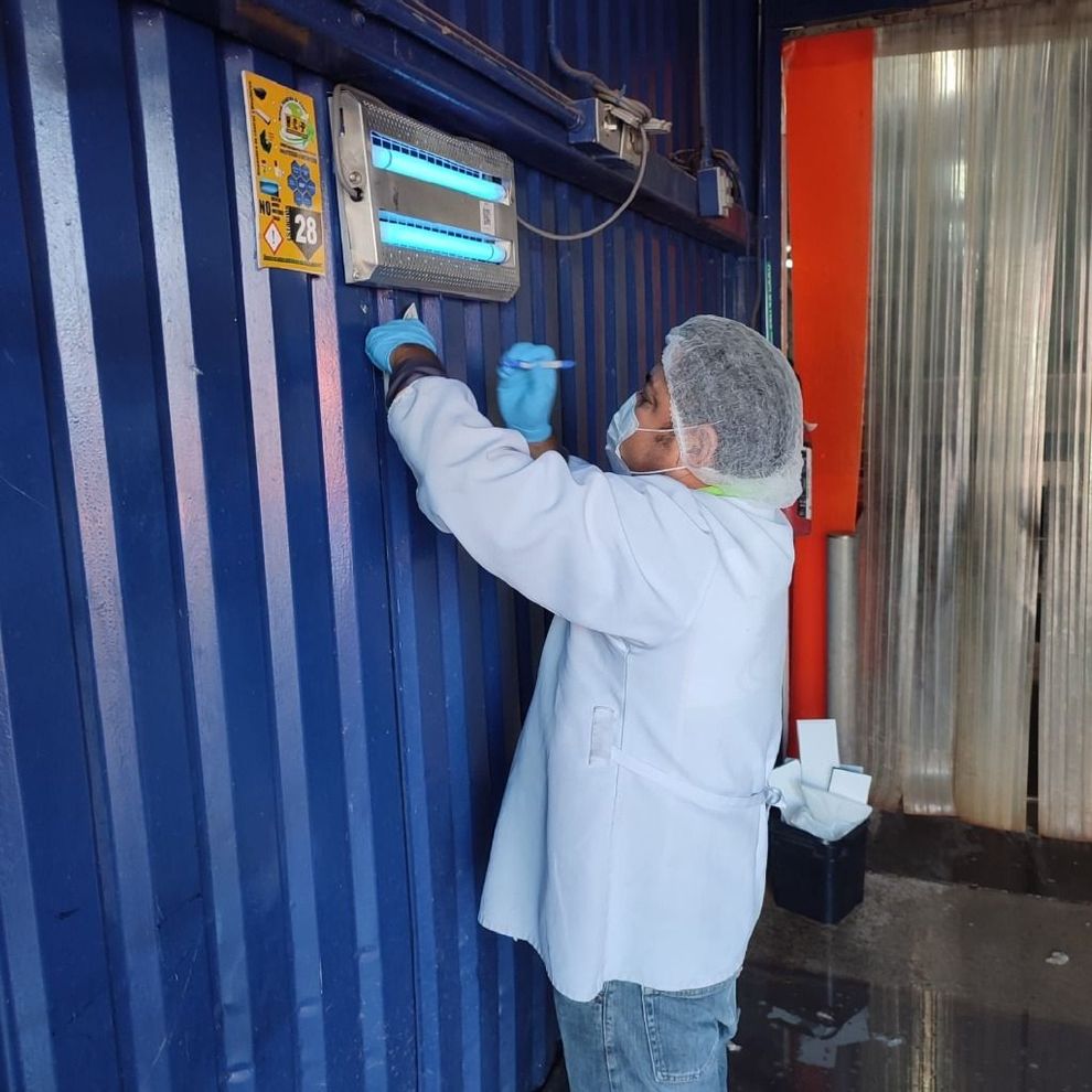Técnico de HACCP FUMIGACIONES realizando inspección profesional de control de plagas en una propiedad
