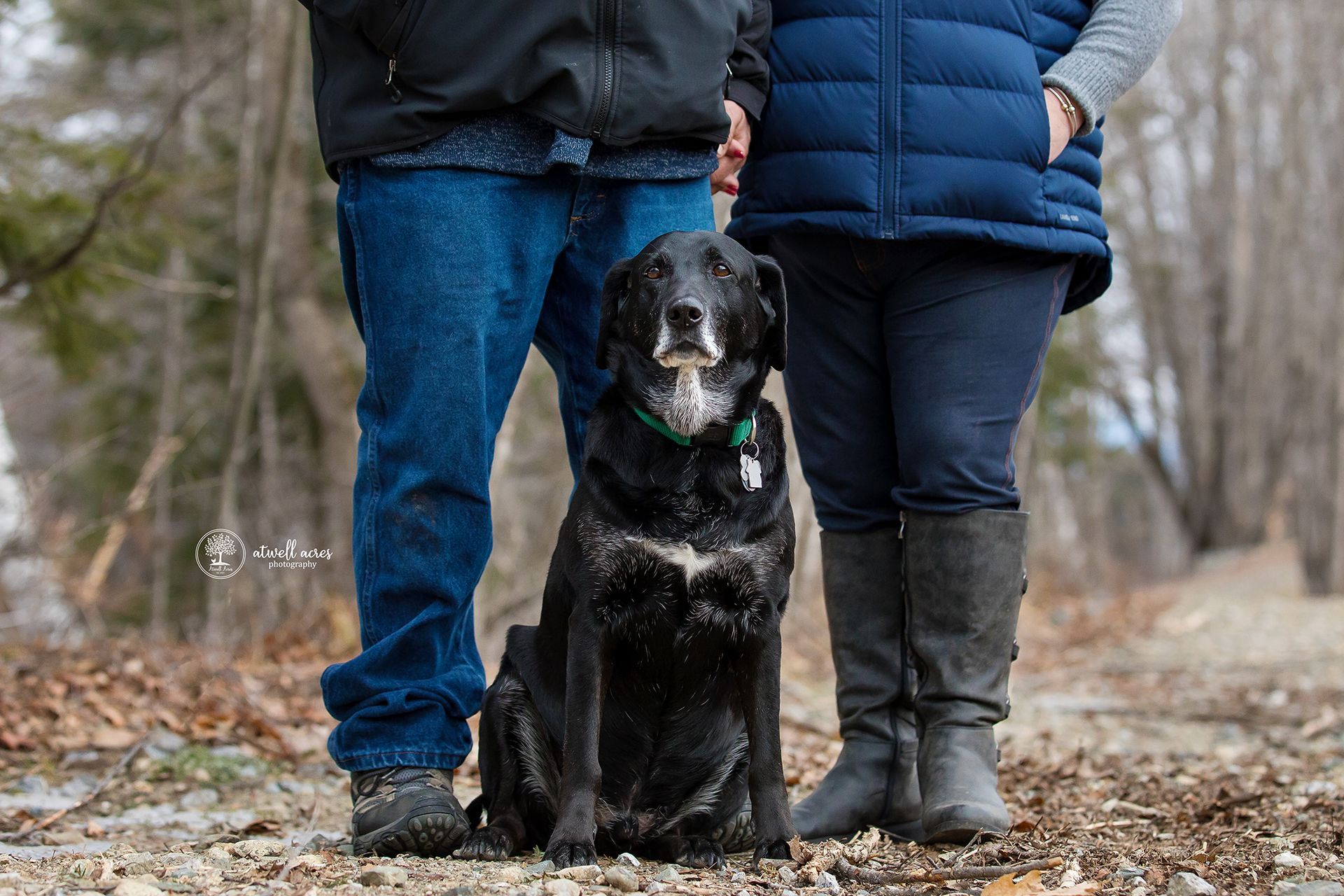 Family picture with everyone posing
