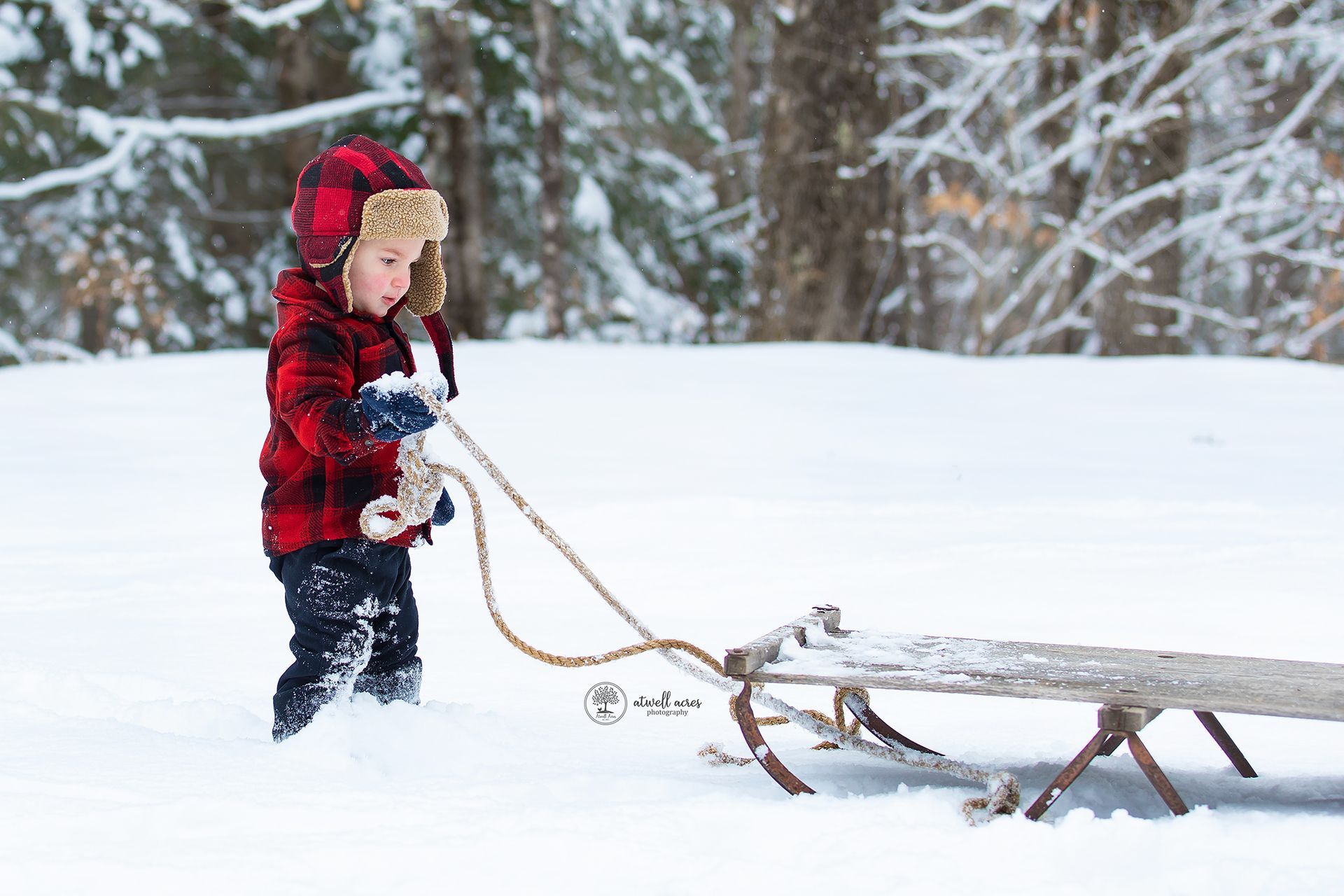 child playing with sled in snow