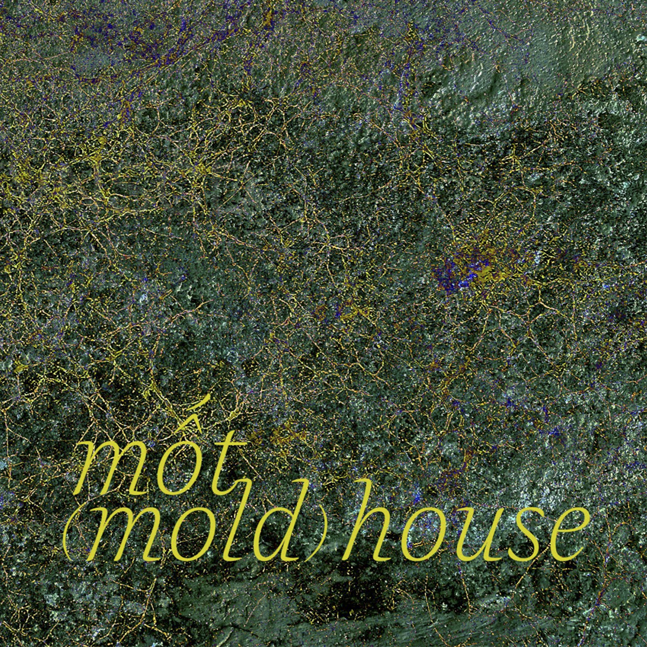 Mốt (Mold) House