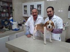 FARMACIA VETERINARIA GONZÁLEZ - Farmacia veterinaria