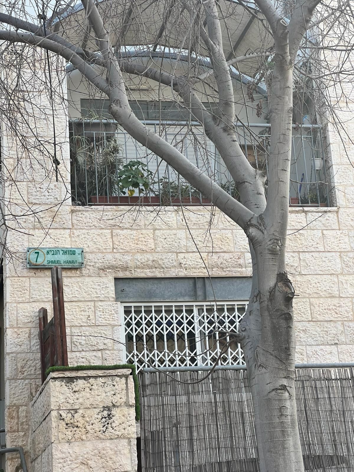 בניין לבנים עם עץ לפניו