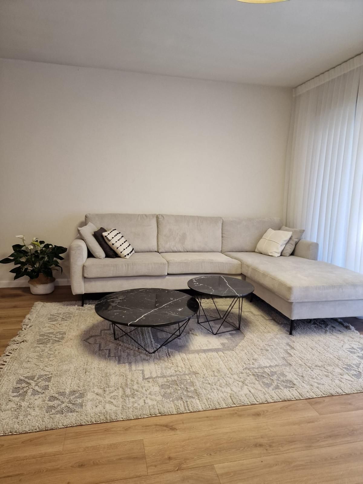 סלון עם ספה, שני שולחנות קפה ושטיח.