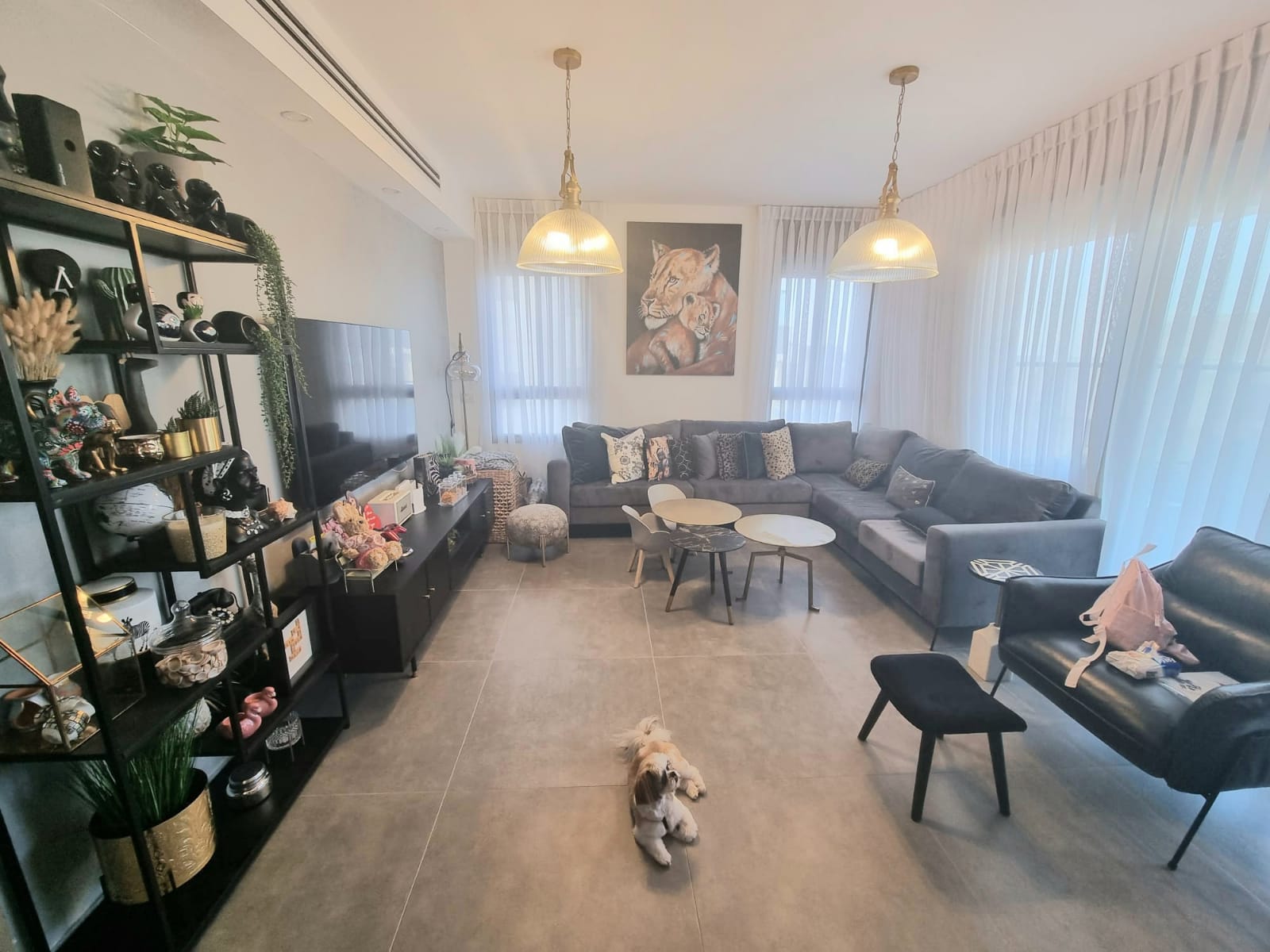 סלון מלא ברהיטים וכלב שוכב על הרצפה.