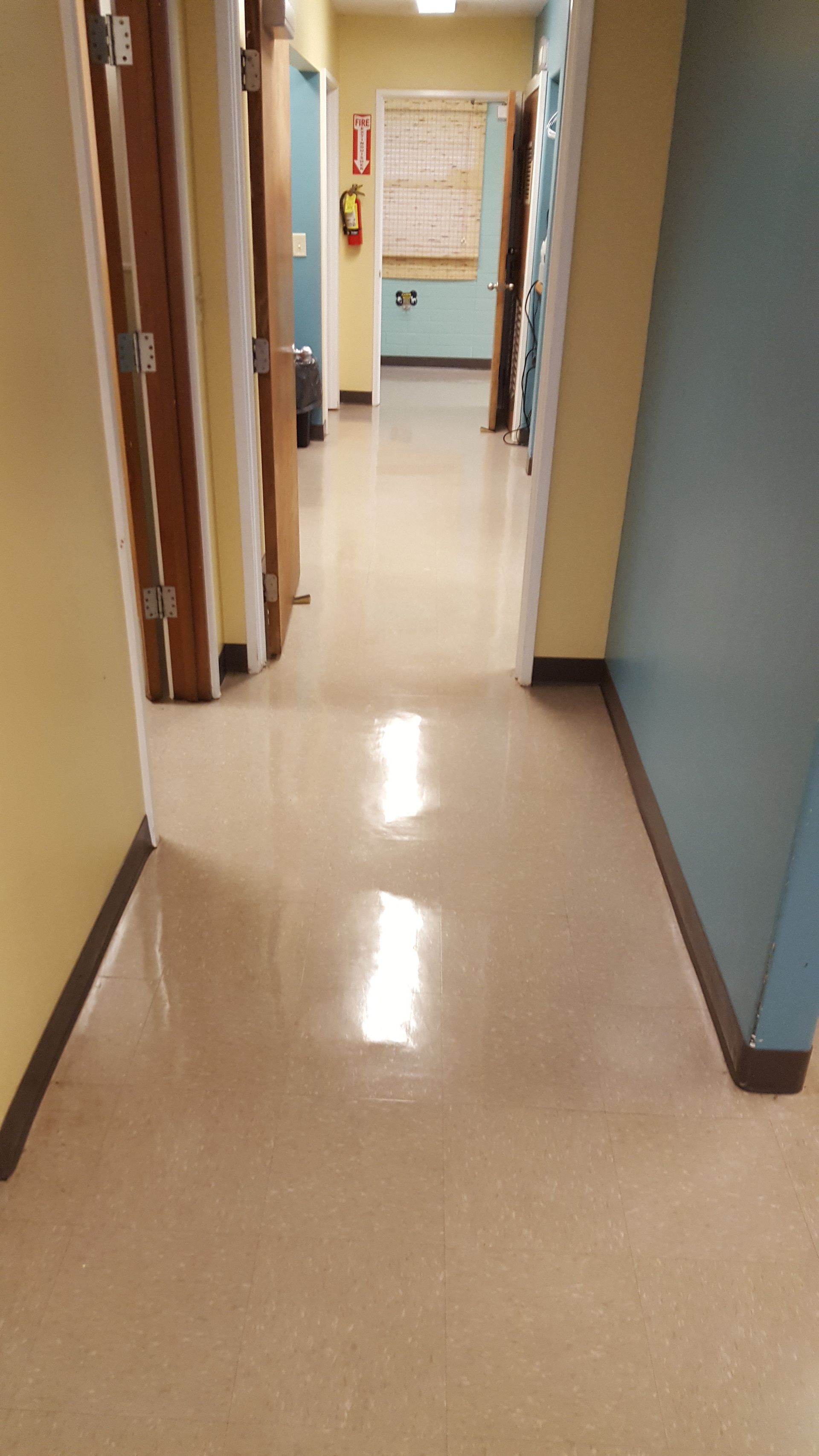 Animal humane society floors