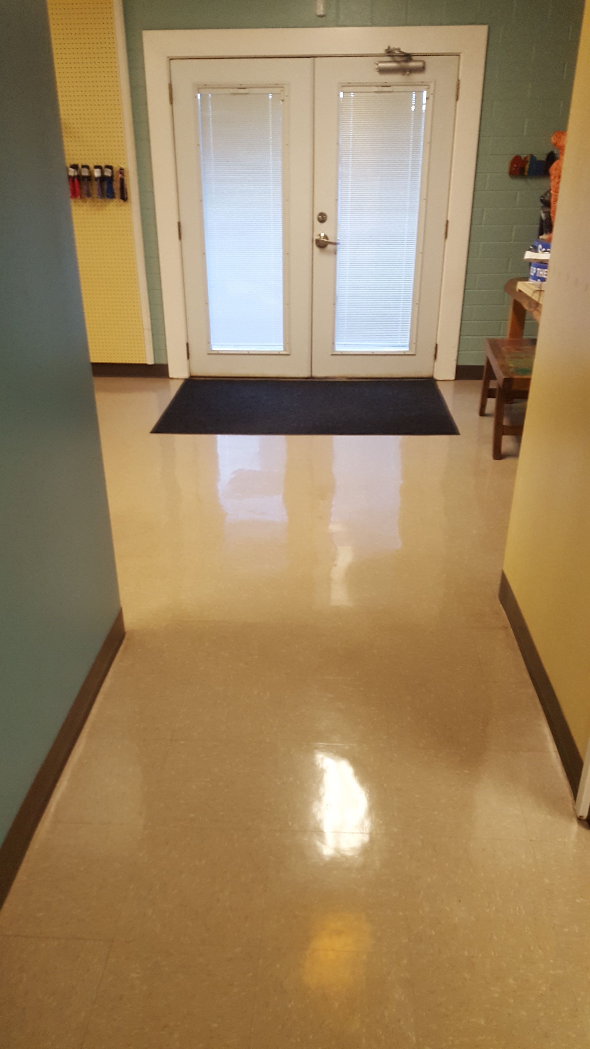 Animal humane society floors