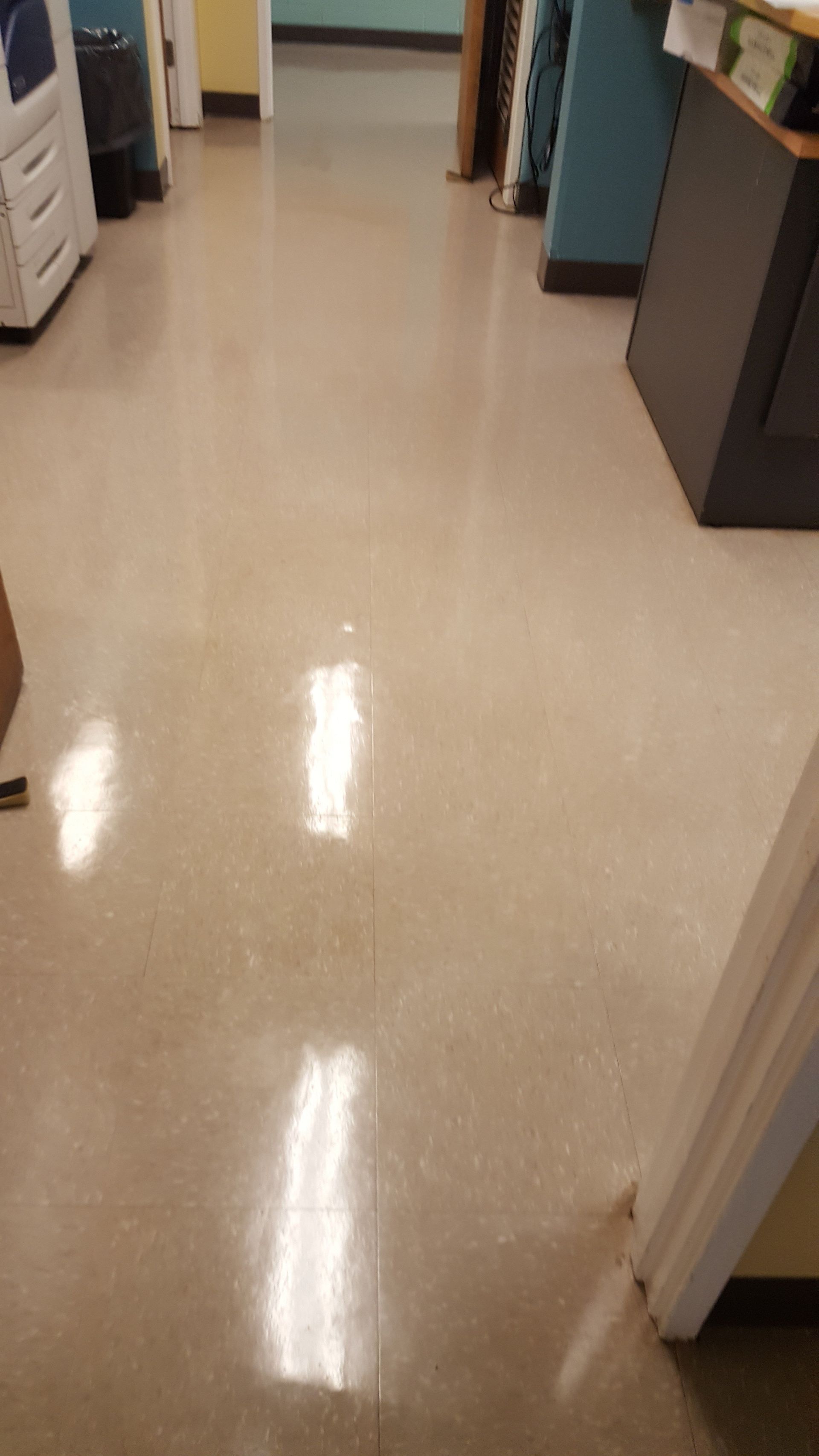 Animal humane society