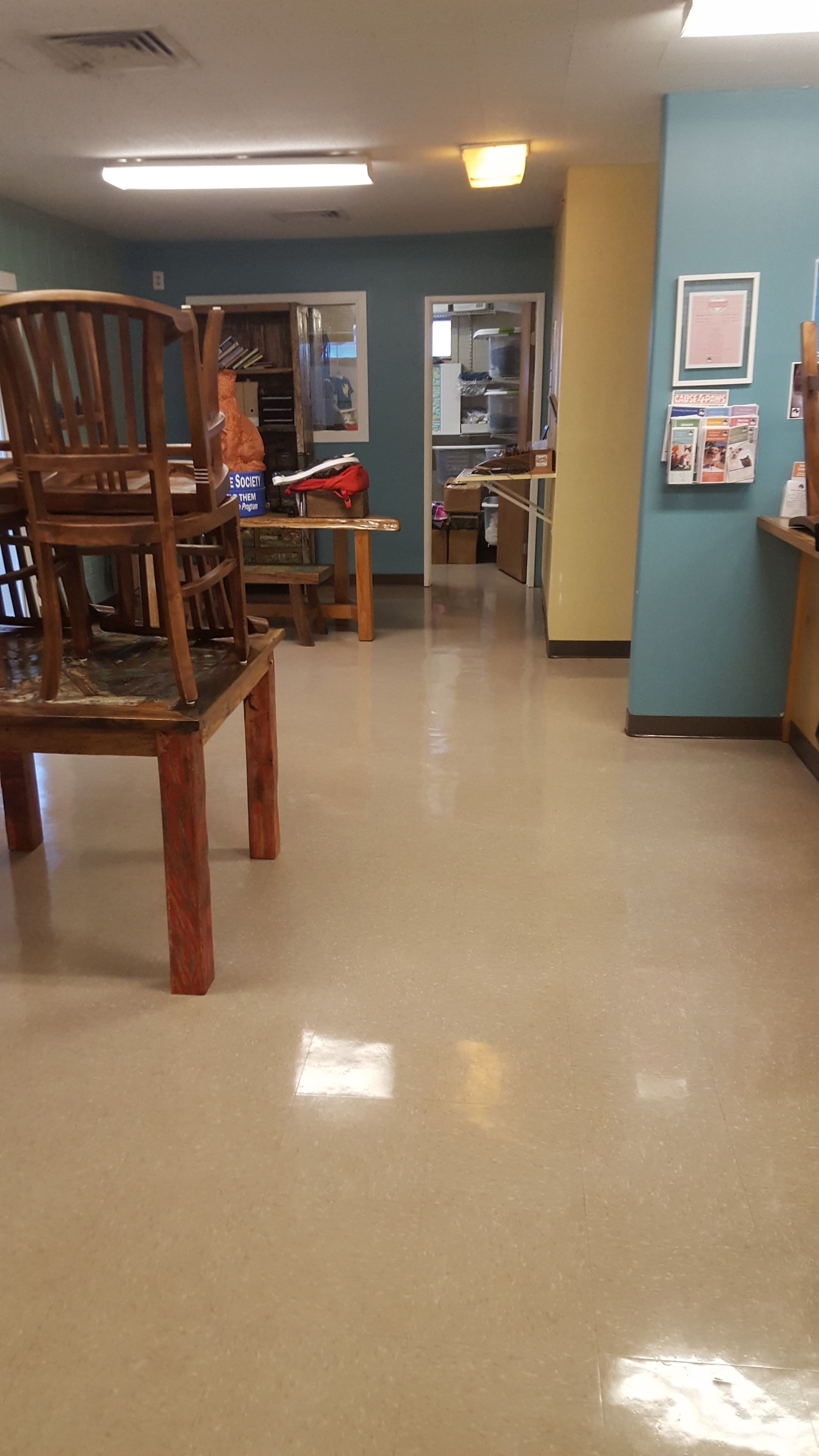 Animal humane society floors