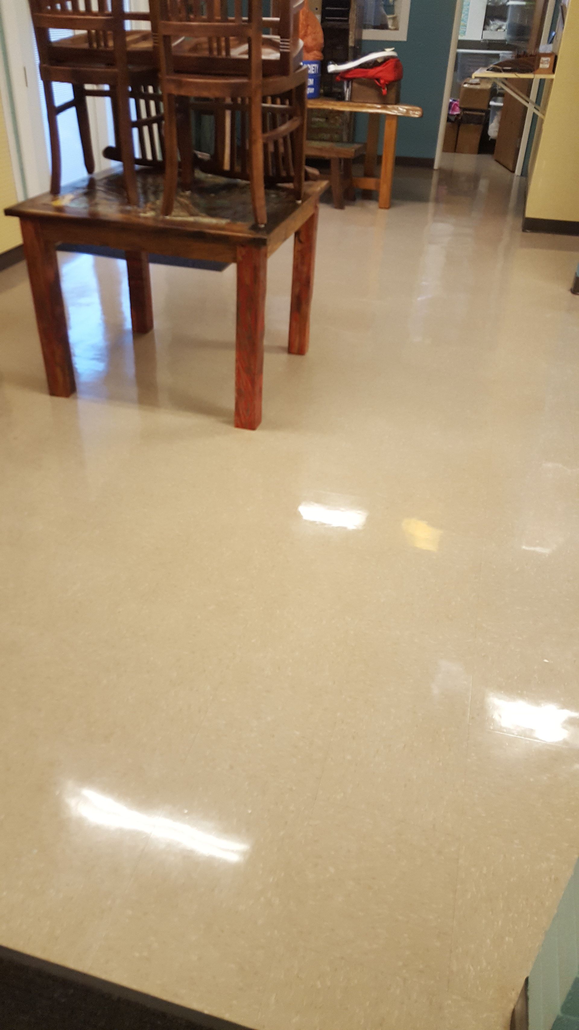 Animal humane society floors
