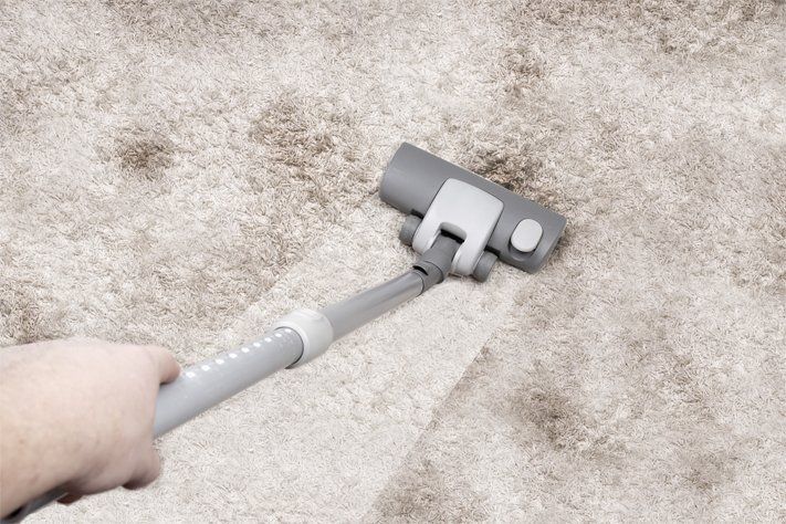 Carpet in the process of being cleaned by professional