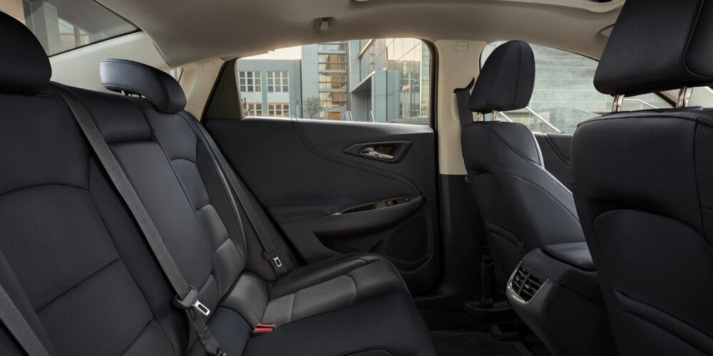 The back seat of a car with a city in the background