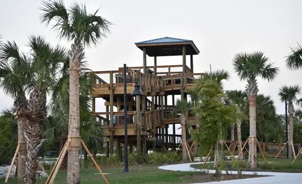 A wooden tower is surrounded by palm trees in a park.