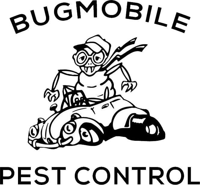 Bugmobile of Arkansas Inc.