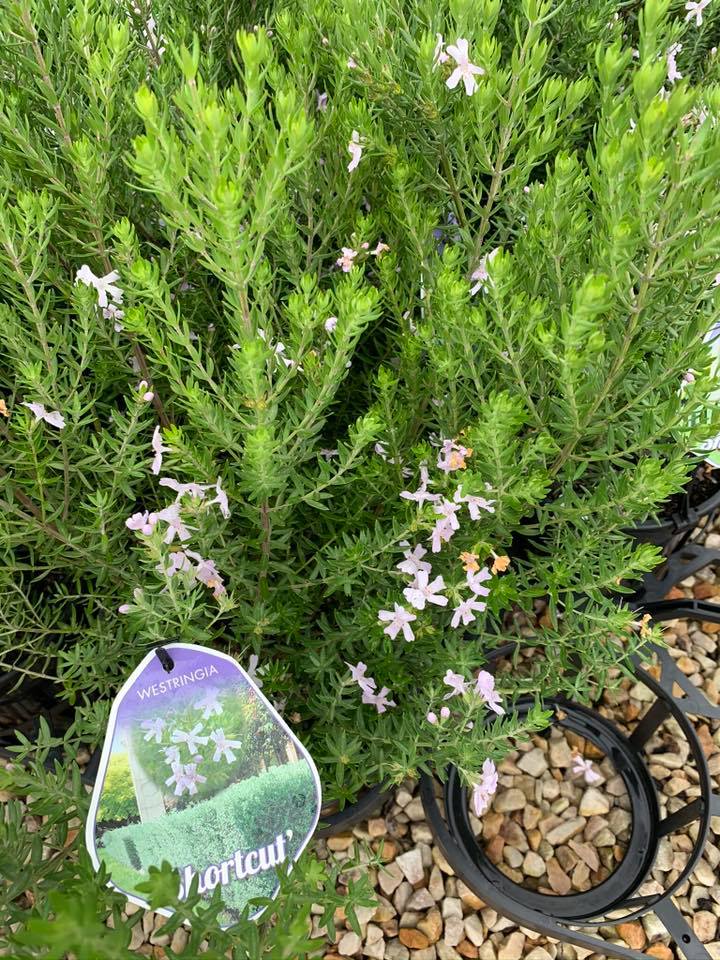 Horticulture Gallery Image 10