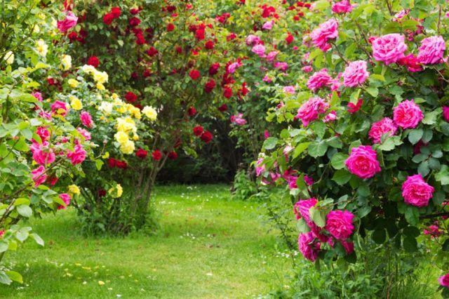 Landscape Work Image 4