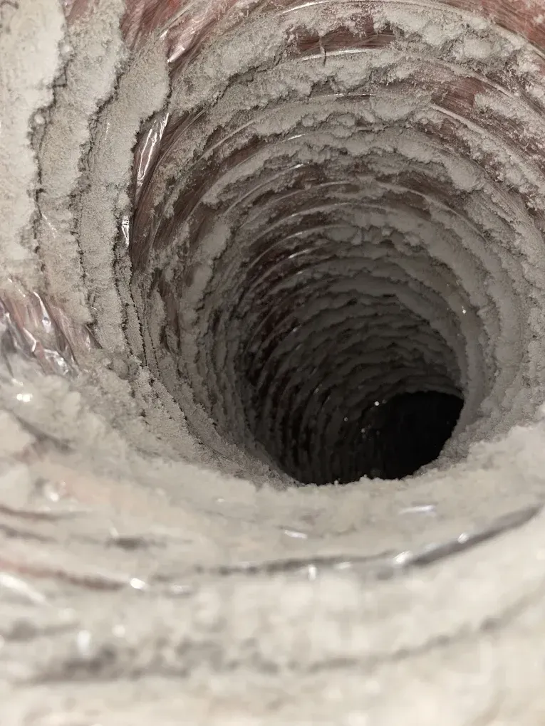 Inside view of a flexible air duct covered in white, fuzzy buildup.