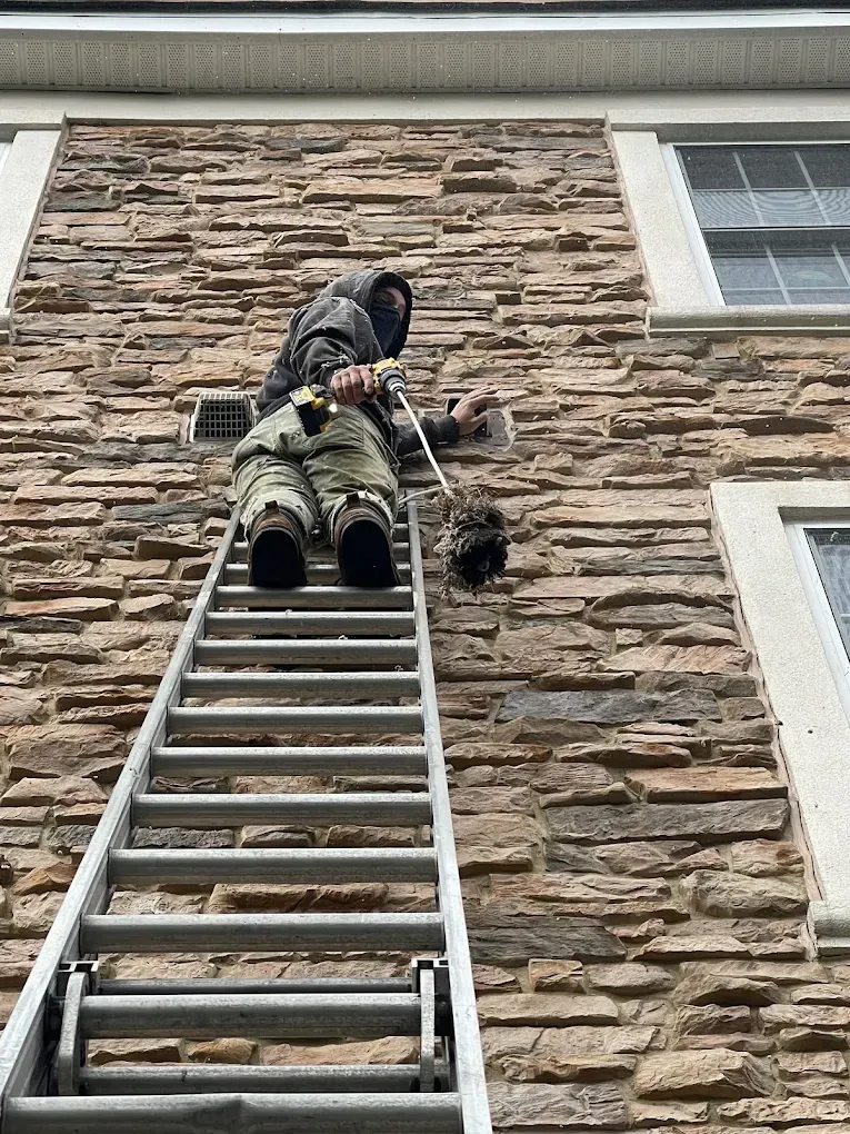 Person in protective gear on a ladder cleaning a stone wall with a wand and brush.