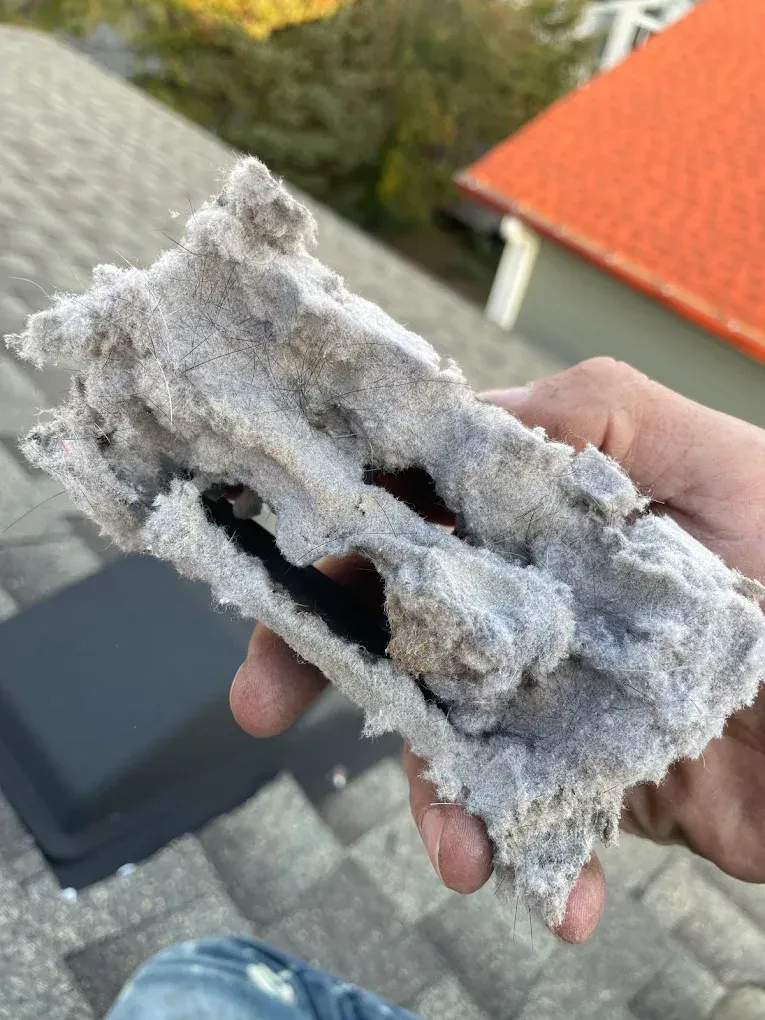 Hand holding a large, gray lint clump removed from a vent on a rooftop with a black vent cover and red roof visible.