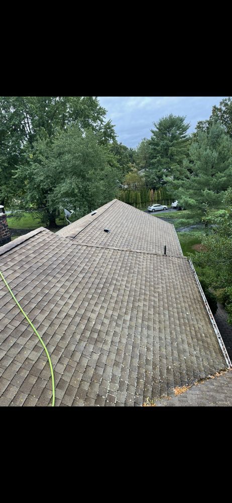 Overhead view of a gray shingle roof surrounded by green trees. A green hose is visible on the roof.