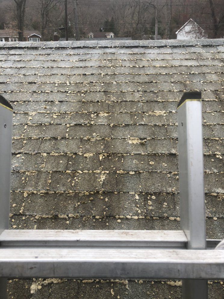 A ladder on an aged asphalt shingle roof. The shingles show signs of wear and tear, with discoloration and peeling.