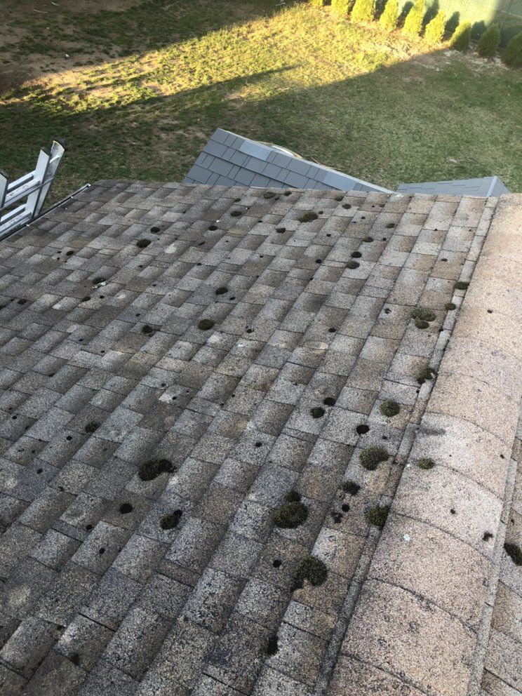 Roof covered in gray shingles with spots of moss; grass in the background.