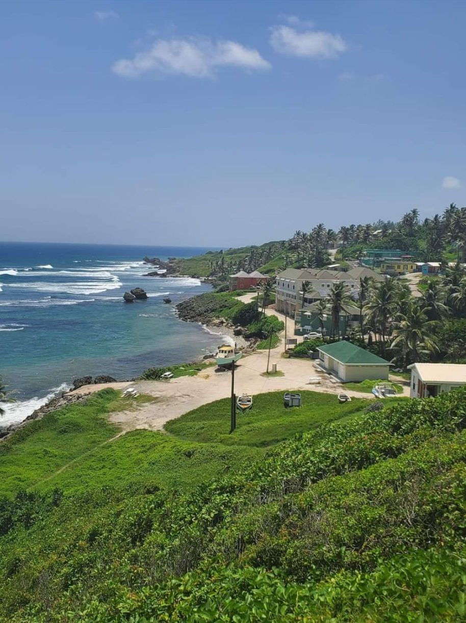 An aerial view of a small town on a tropical island near the ocean.