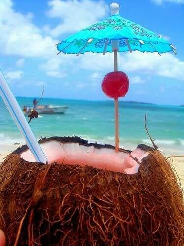 A coconut with a straw and umbrella on the beach