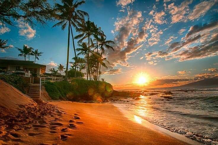 A sunset on a tropical beach with palm trees and a house in the background.
