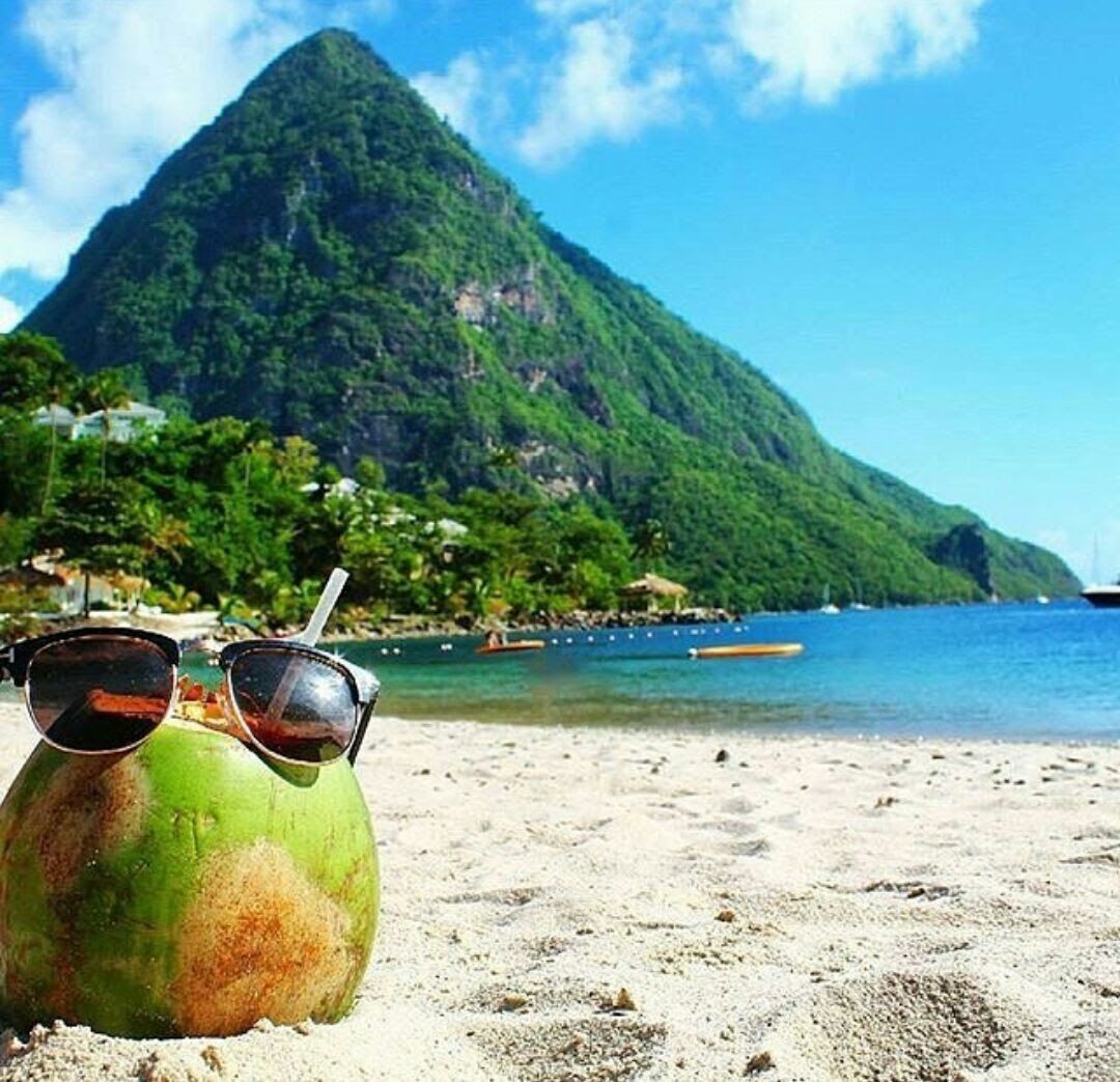 A coconut with sunglasses on it is on the beach.
