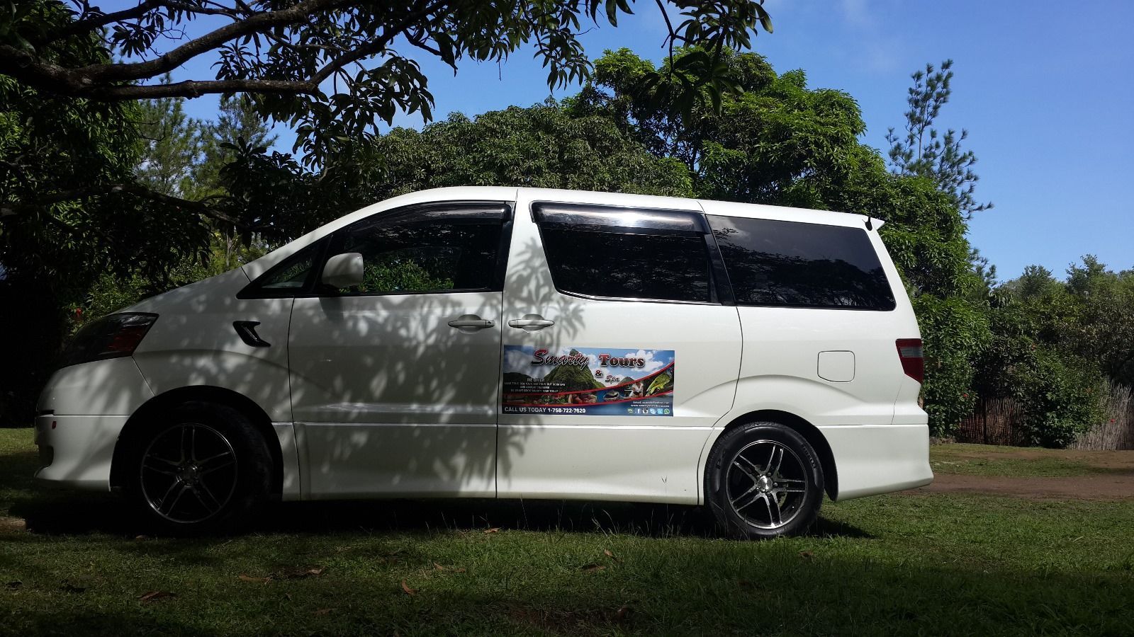 A white van is parked in the grass under a tree.