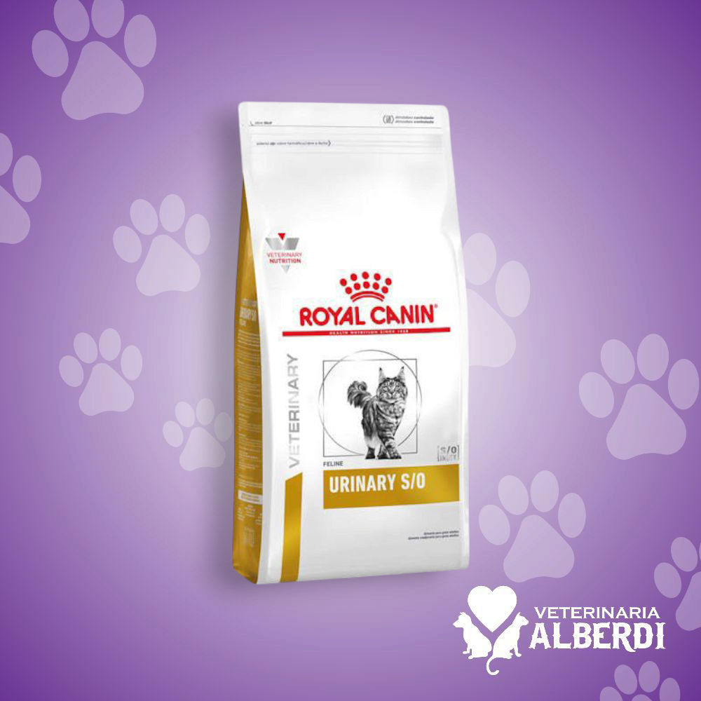 ROYAL CANIN