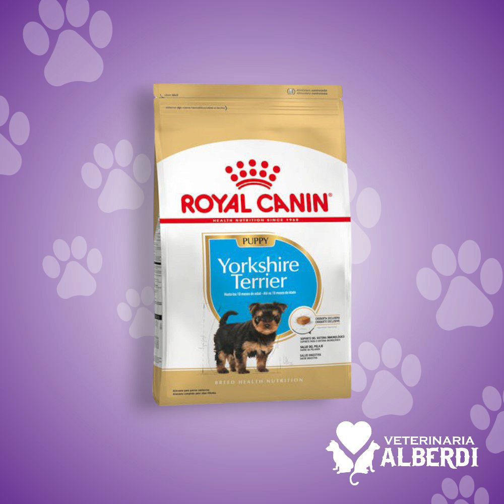 ROYAL CANIN