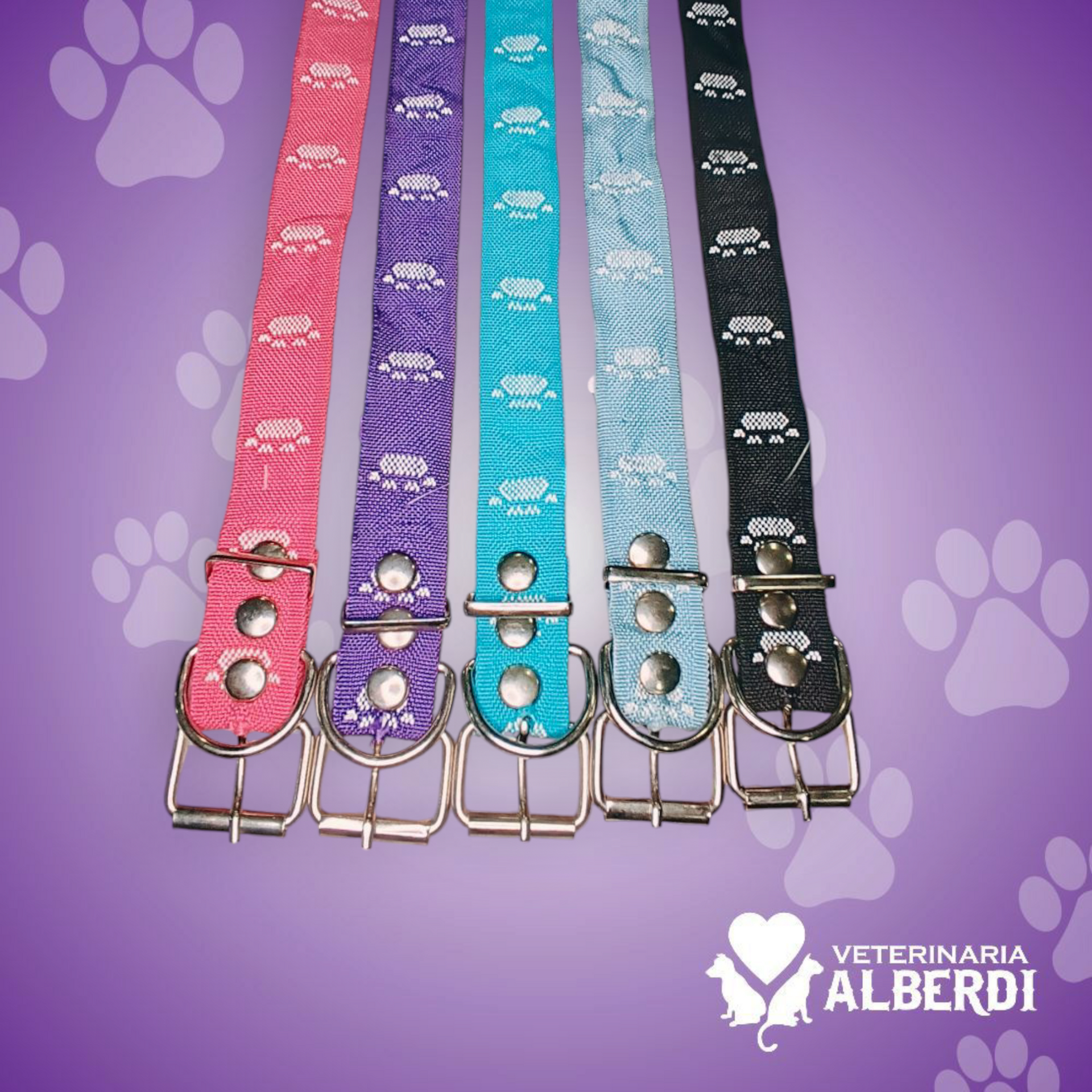ACCESORIOS PARA MASCOTAS