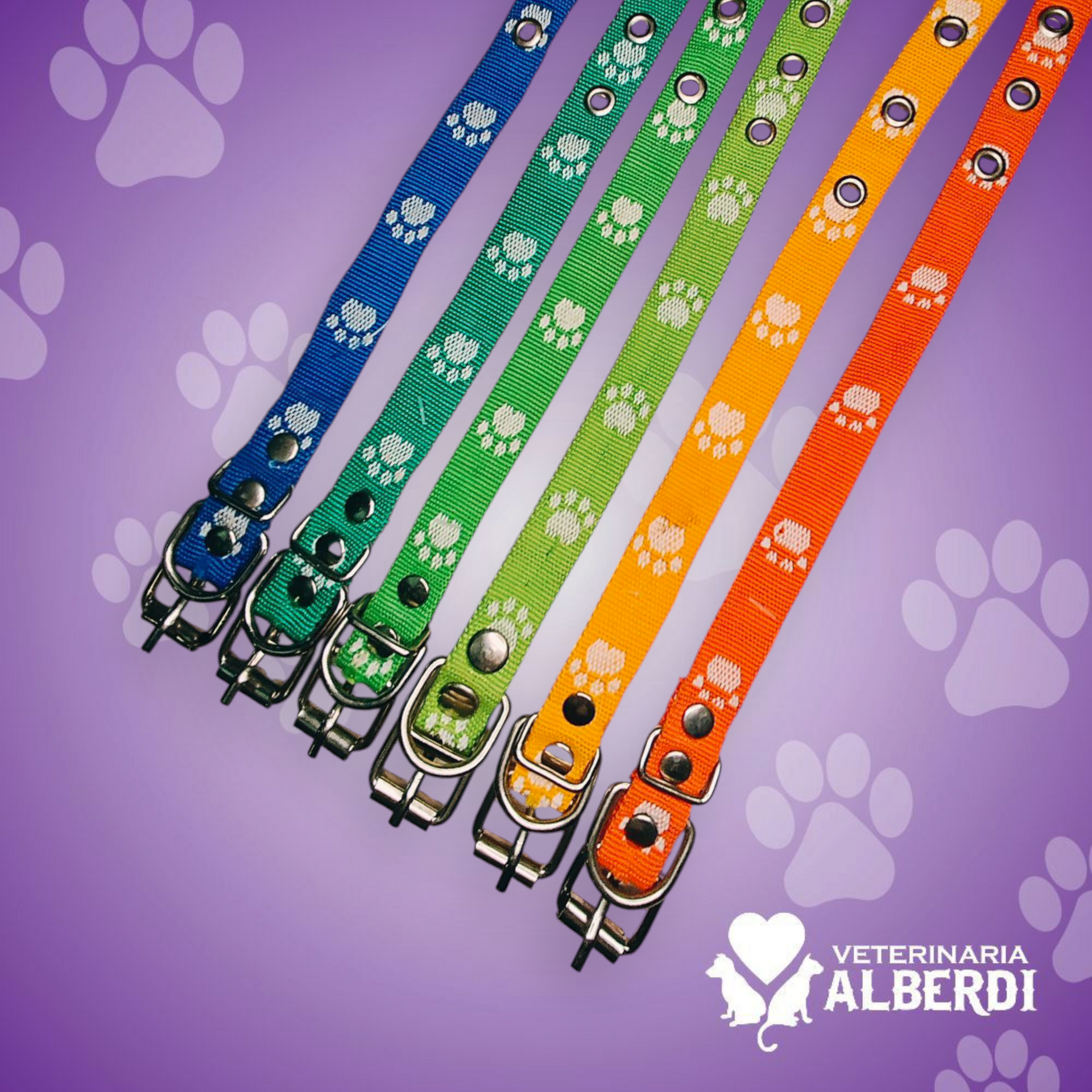 ACCESORIOS PARA MASCOTAS